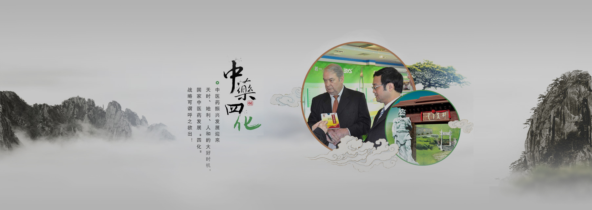 台儿庄建站-若一医药科技