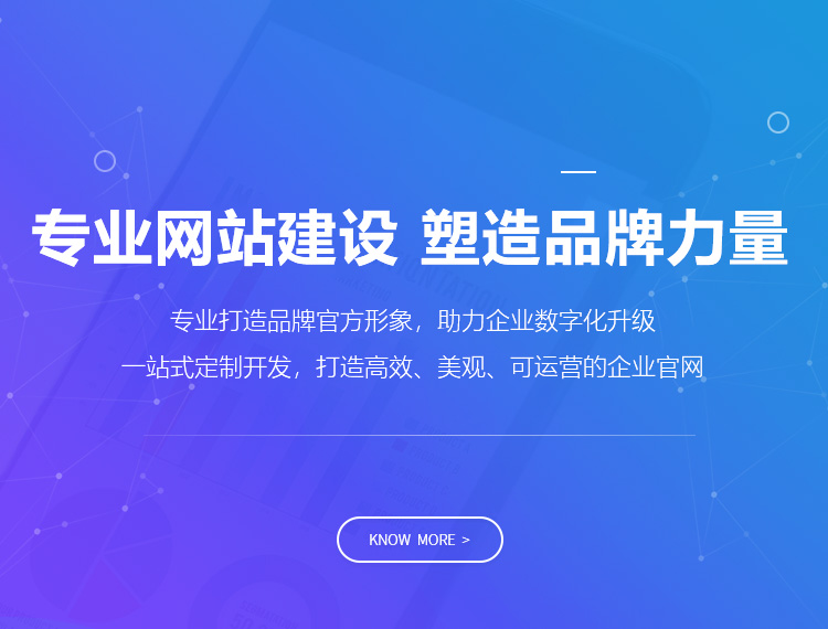台儿庄建站-专业网站建设 塑造品牌力量